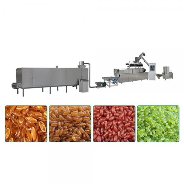 Automatic extruded rice plant/twin screw extruding nutritional rice making machinery/reshaped rice production line