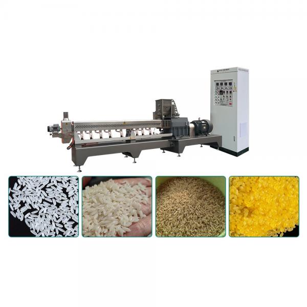 Automatic Baked puffing snack food machine nutrition rice fortified rice machine artificial rice and corn machine