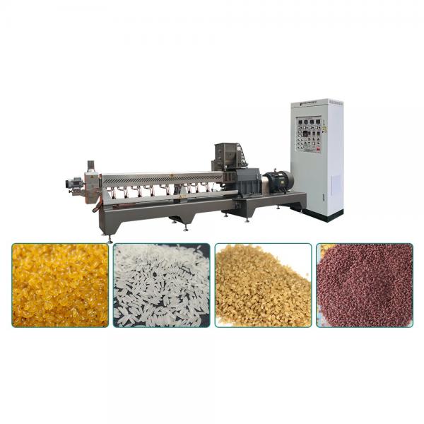 The Equipment for Manufacture of Artificial Rice