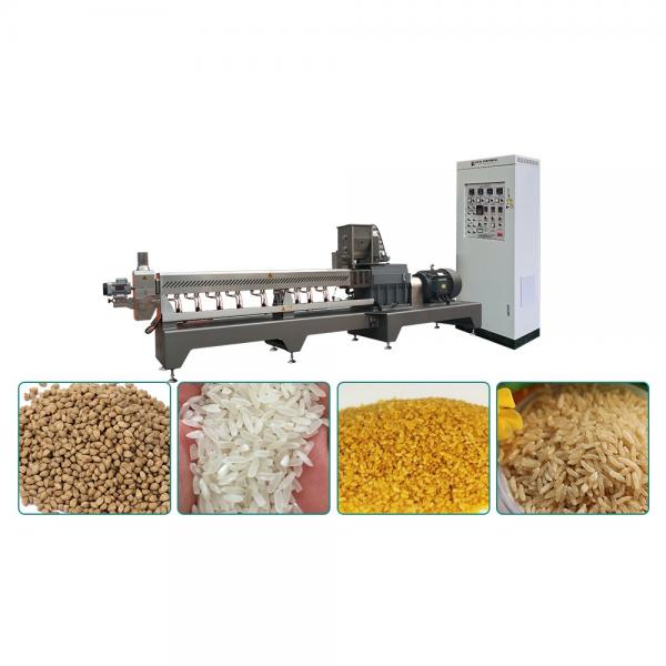 Artificial Rice Making Machine Rice Mill Equipment Manufacturers in China Jinan Factory